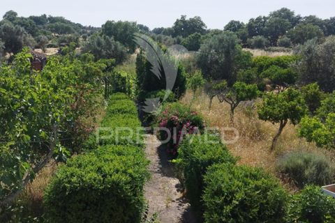 Byhus i Crato, Portalegre, Crato - € 175.000 | Ref: 052277 - foto 21