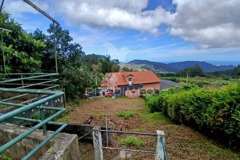 Helårsgrund i Machico, Madeira, Machico - € 99.000 | Ref: 052621 - foto 3