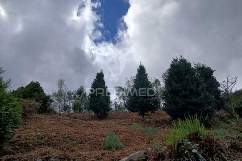 Helårsgrund i Machico, Madeira, Machico - € 99.000 | Ref: 052621 - foto 4