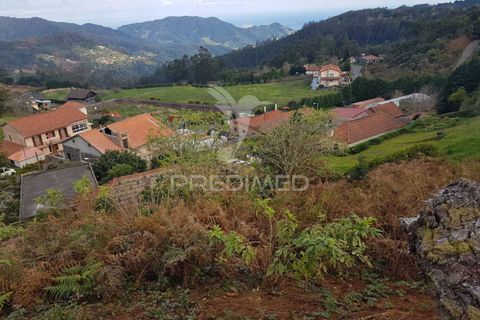 Helårsgrund i Machico, Madeira, Machico - € 99.000 | Ref: 052621 - foto 5