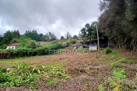 Helårsgrund i Machico, Madeira, Machico - € 99.000 | Ref: 052621 - foto 6