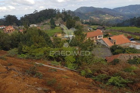 Helårsgrund i Machico, Madeira, Machico - € 99.000 | Ref: 052621 - foto 7