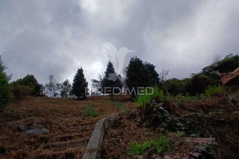 Helårsgrund i Machico, Madeira, Machico - € 99.000 | Ref: 052621 - foto 8