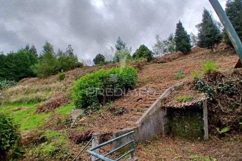 Helårsgrund i Machico, Madeira, Machico - € 99.000 | Ref: 052621 - foto 9