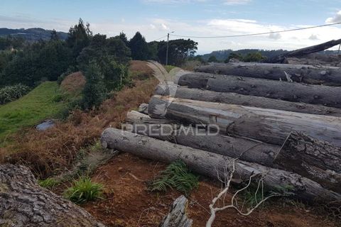 Helårsgrund i Machico, Madeira, Machico - € 99.000 | Ref: 052621 - foto 10