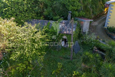 Byhus i Vieira do Minho, Braga, Vieira do Minho - € 165.000 | Ref: 052678 - foto 3