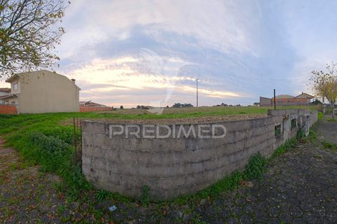 Helårsgrund i Aveiro, Aveiro, Aveiro - € 65.000 | Ref: 052724 - foto 5