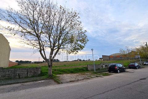 Helårsgrund i Aveiro, Aveiro, Aveiro - € 65.000 | Ref: 052724 - foto 11