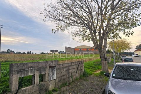 Helårsgrund i Aveiro, Aveiro, Aveiro - € 65.000 | Ref: 052724 - foto 13