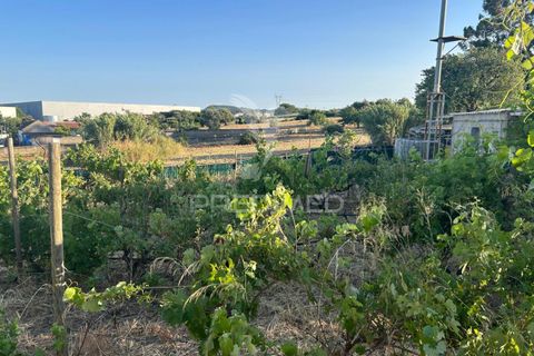 Helårsgrund i Alenquer, Lisbon, Alenquer - € 65.000 | Ref: 052777 - foto 2
