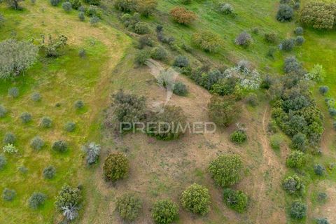 Terra a Alandroal, Evora, Alandroal - € 51.500 | Ref: 052828 - foto 2
