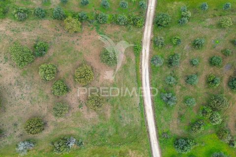 Terra a Alandroal, Evora, Alandroal - € 51.500 | Ref: 052828 - foto 3