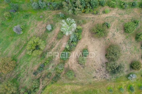 Terra a Alandroal, Evora, Alandroal - € 51.500 | Ref: 052828 - foto 4