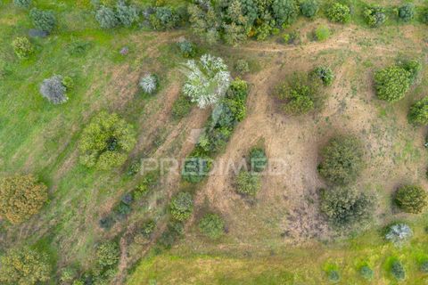 Terra a Alandroal, Evora, Alandroal - € 51.500 | Ref: 052828 - foto 5