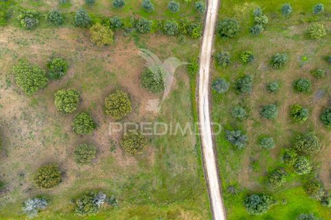 Terra a Alandroal, Evora, Alandroal - € 51.500 | Ref: 052828 - foto 6