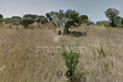 Terra a Alandroal, Evora, Alandroal - € 17.500 | Ref: 052834 - foto 2