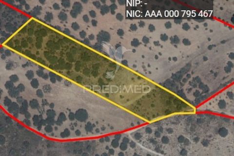 Terra a Alandroal, Evora, Alandroal - € 17.500 | Ref: 052834 - foto 3