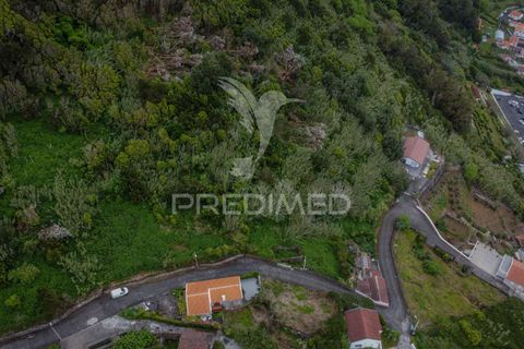 Helårsgrund i Velas, Sao Jorge, Velas - € 105.000 | Ref: 052921 - foto 5