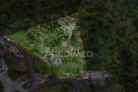 Helårsgrund i Velas, Sao Jorge, Velas - € 105.000 | Ref: 052921 - foto 9