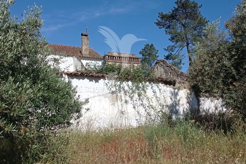 Byhus i Ponte de Sor, Portalegre, Ponte de Sor - € 59.500 | Ref: 053100 - foto 3