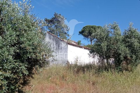 Byhus i Ponte de Sor, Portalegre, Ponte de Sor - € 59.500 | Ref: 053100 - foto 4