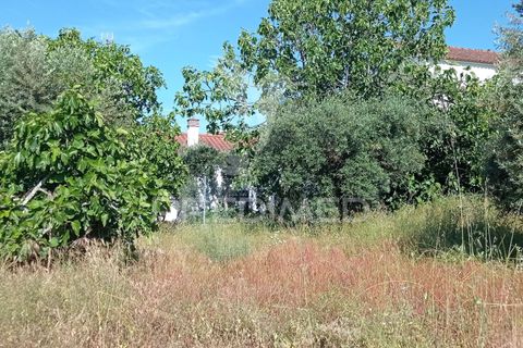 Byhus i Ponte de Sor, Portalegre, Ponte de Sor - € 59.500 | Ref: 053100 - foto 5