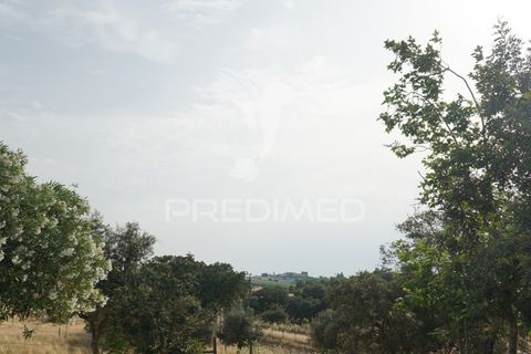 Farm hus i Redondo, Evora, Redondo - € 810.000 | Ref: 053168 - foto 24