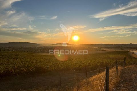 Farm hus i Redondo, Evora, Redondo - € 810.000 | Ref: 053168 - foto 30