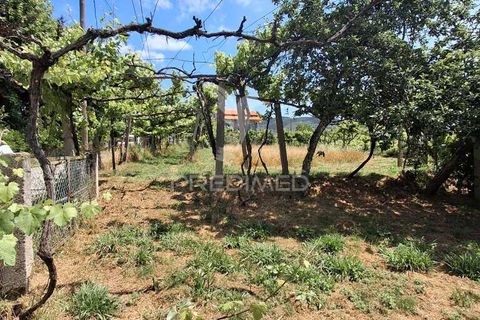 Helårsgrund i Amarante, Porto, Amarante - € 165.500 | Ref: 053221 - foto 17