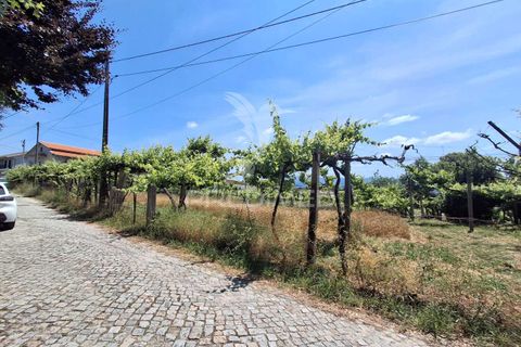 Helårsgrund i Amarante, Porto, Amarante - € 165.500 | Ref: 053221 - foto 18