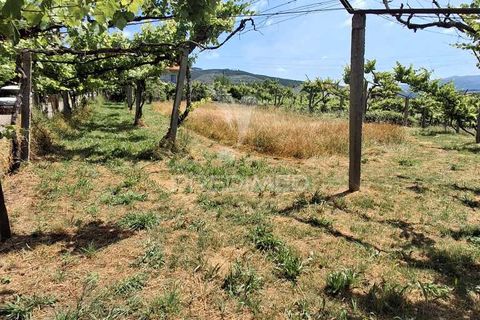 Helårsgrund i Amarante, Porto, Amarante - € 165.500 | Ref: 053221 - foto 19