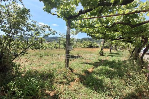 Helårsgrund i Amarante, Porto, Amarante - € 165.500 | Ref: 053221 - foto 21
