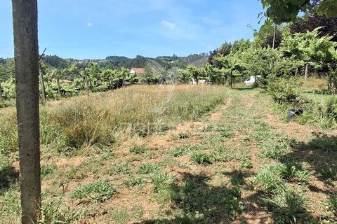 Helårsgrund i Amarante, Porto, Amarante - € 165.500 | Ref: 053221 - foto 22