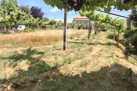 Helårsgrund i Amarante, Porto, Amarante - € 165.500 | Ref: 053221 - foto 23