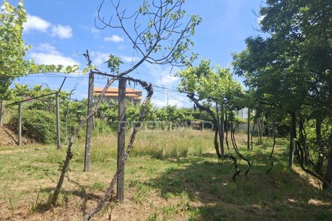 Helårsgrund i Amarante, Porto, Amarante - € 165.500 | Ref: 053221 - foto 24