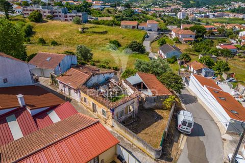 Helårsgrund i Alcobaca, Leiria, Alcobaca - € 160.000 | Ref: 053246 - foto 2