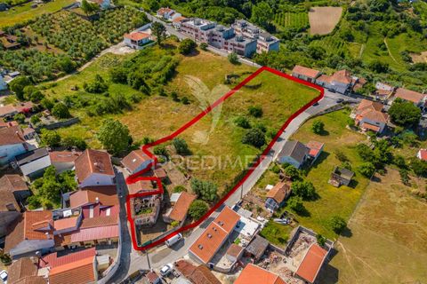Helårsgrund i Alcobaca, Leiria, Alcobaca - € 160.000 | Ref: 053246 - foto 5