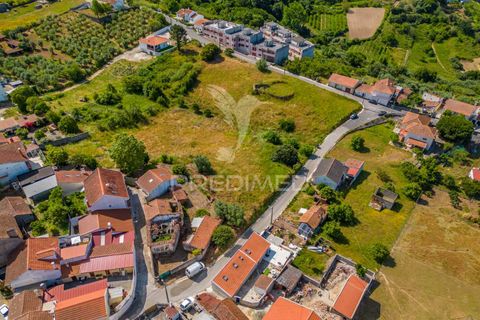 Helårsgrund i Alcobaca, Leiria, Alcobaca - € 160.000 | Ref: 053246 - foto 8