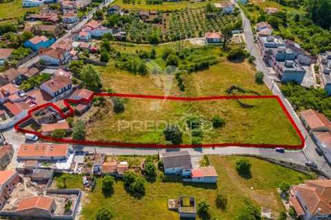 Helårsgrund i Alcobaca, Leiria, Alcobaca - € 160.000 | Ref: 053246 - foto 14