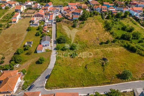 Helårsgrund i Alcobaca, Leiria, Alcobaca - € 160.000 | Ref: 053246 - foto 19