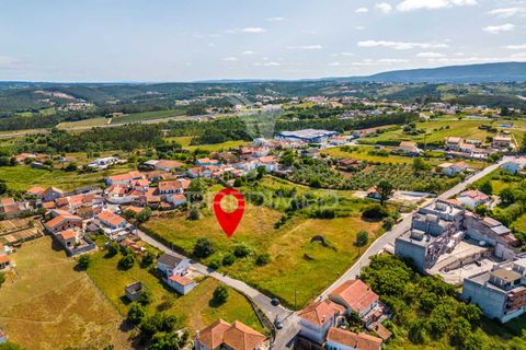 Helårsgrund i Alcobaca, Leiria, Alcobaca - € 160.000 | Ref: 053246 - foto 25