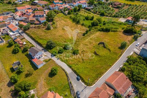 Helårsgrund i Alcobaca, Leiria, Alcobaca - € 160.000 | Ref: 053246 - foto 26
