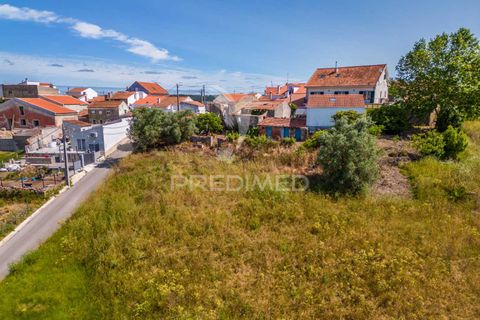 Helårsgrund i Alcobaca, Leiria, Alcobaca - € 160.000 | Ref: 053246 - foto 31