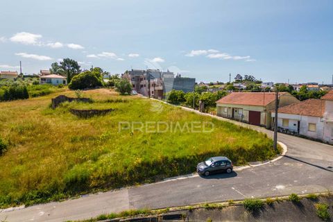 Helårsgrund i Alcobaca, Leiria, Alcobaca - € 160.000 | Ref: 053246 - foto 33