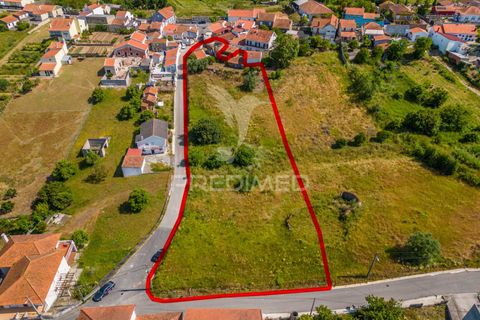 Helårsgrund i Alcobaca, Leiria, Alcobaca - € 160.000 | Ref: 053246 - foto 34