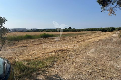 Helårsgrund i Alenquer, Lisbon, Alenquer - € 35.000 | Ref: 053298 - foto 3