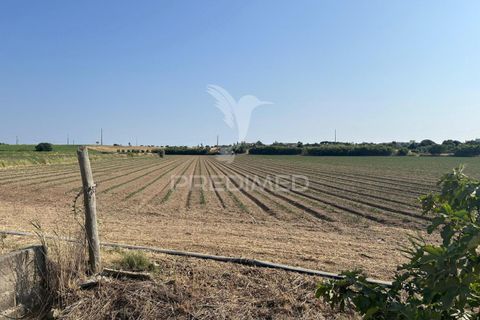 Helårsgrund i Alenquer, Lisbon, Alenquer - € 35.000 | Ref: 053298 - foto 4