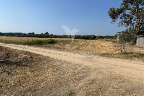Helårsgrund i Alenquer, Lisbon, Alenquer - € 35.000 | Ref: 053298 - foto 5