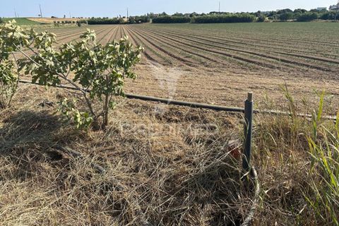 Helårsgrund i Alenquer, Lisbon, Alenquer - € 35.000 | Ref: 053298 - foto 9