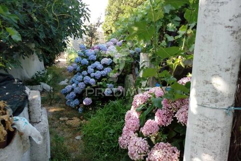 Byhus i Ponte de Sor, Portalegre, Ponte de Sor - € 192.000 | Ref: 053404 - foto 2